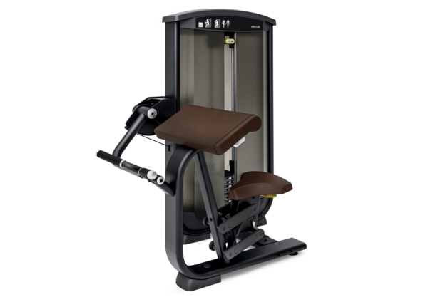 Intenza Ease Line Biceps/Arm Curl (vægtstak: 68 kg) - Intenza