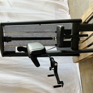 gym80 Standard Biceps Curl - Demo - gym80