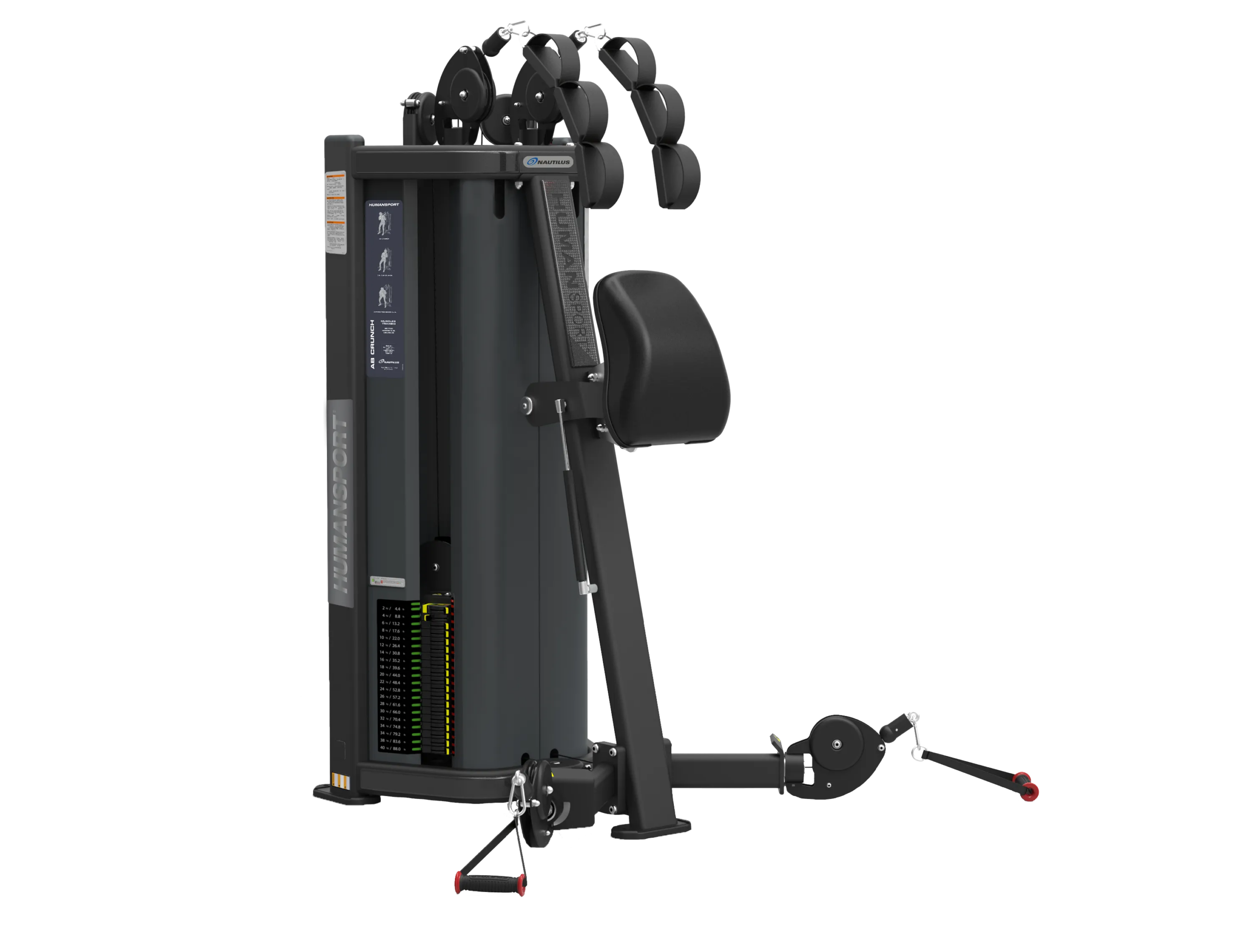 Nautilus Human Sport Arm Crunch - Nautilus