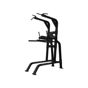 Nautilus Inspiration PullUp/Dip/LegRaise Sort - Nautilus
