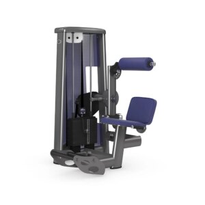 gym80 Sygnum Lower Back Machine - gym80