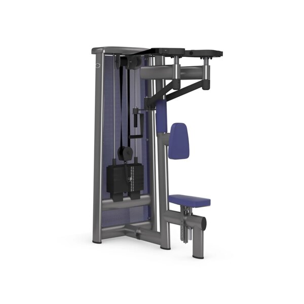 gym80 Sygnum Reverse Butterfly - gym80
