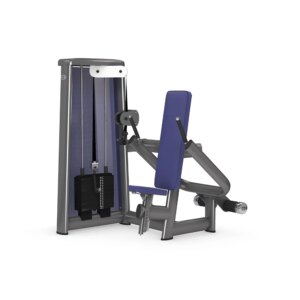 gym80 Sygnum Dip Machine - gym80