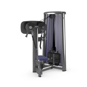 gym80 Sygnum Shoulder Lateral Raise With Grips - gym80