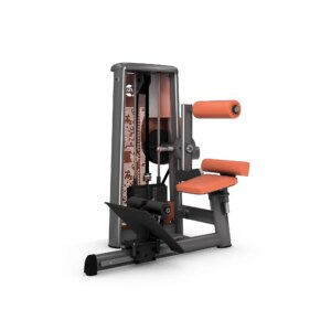 gym80 Sygnum Combo Abdominal And Back - gym80