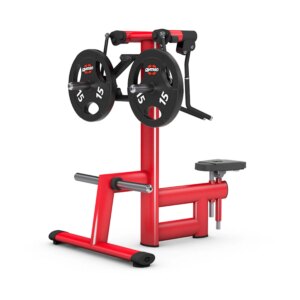 gym80 Pure Kraft Dual Shoulder Lateral Raise - gym80