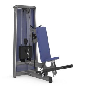 gym80 Sygnum Triceps Overhead Press - gym80