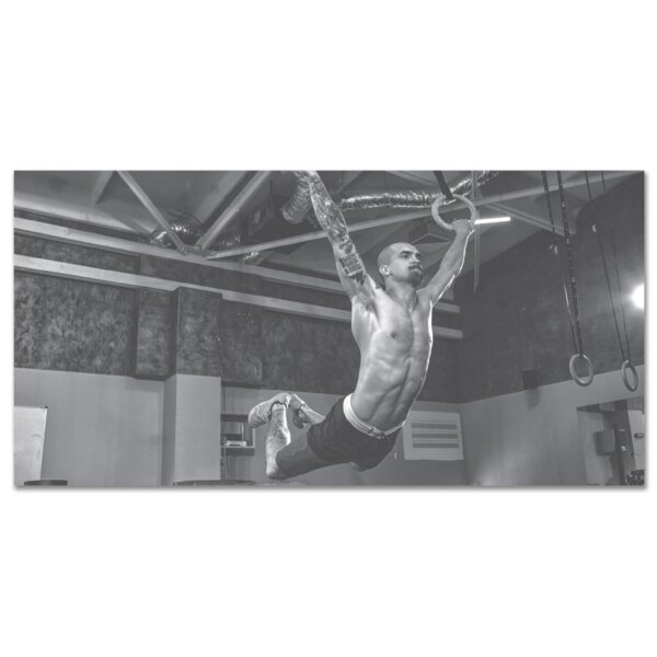 Plakat Ringe 200 x 100 cm - Fitness Engros