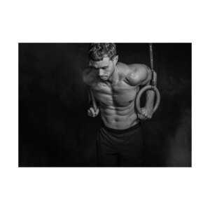 Plakat Ringe V2 200 x 100 cm - Fitness Engros