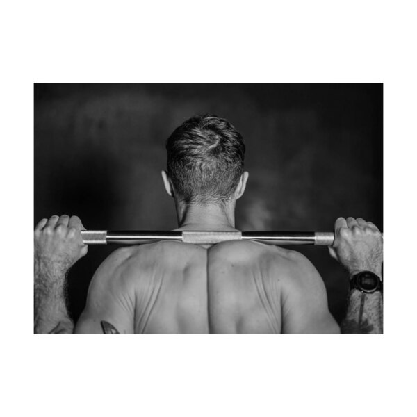 Plakat Stang 200 x 100 cm - Fitness Engros