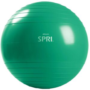SPRI Xercise Ball Træningsbold 45cm - SPRI