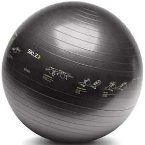 SKLZ Træningsbold Sport performance 65cm - Sklz