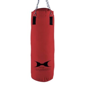 Hammer Fit Canvas Rød (80 x 30 cm - 16kg) - Hammer