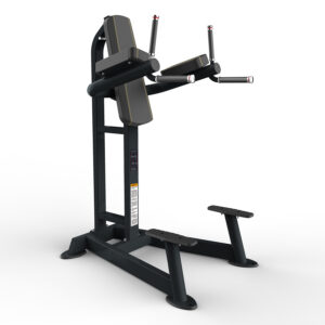 Odin PRO Dip/Abdominal - Odin