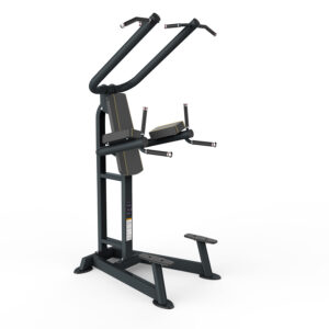 Odin PRO Chin Up/Dip/Leg Raise - Odin