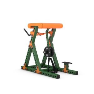 gym80 Reverse Hyper Extension - gym80