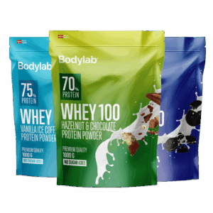 Whey 100 (1 kg)